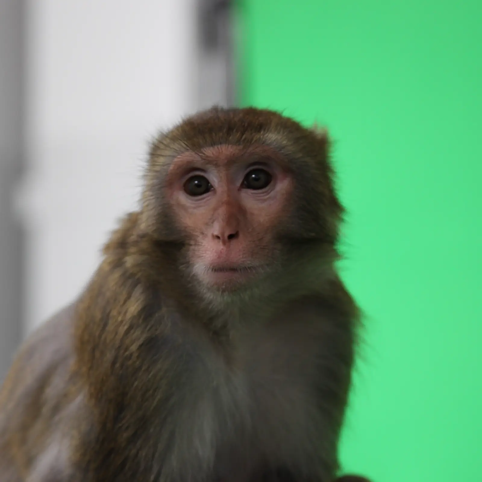 Tracking & Reconstruction — 1